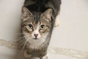 Corina Bild von Corina