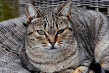 Bild von Inga