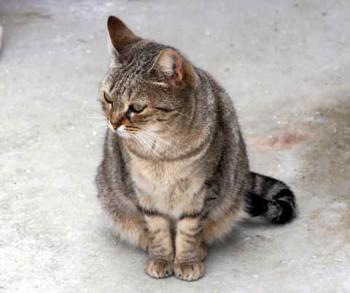 Bild von Inga