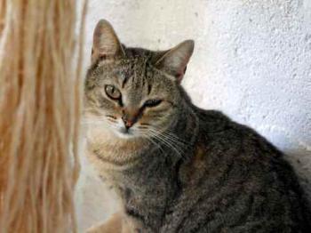 Bild von Inga
