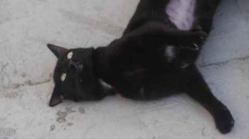 Flo Bild von Flo