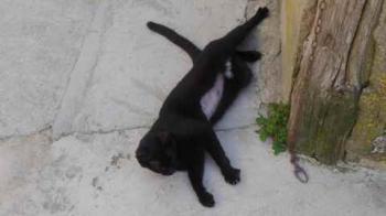 Flo Bild von Flo