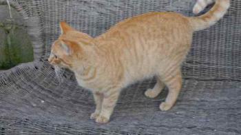 Neila Bild von Neila