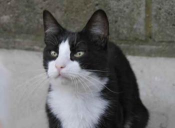 Dayo Bild von Dayo