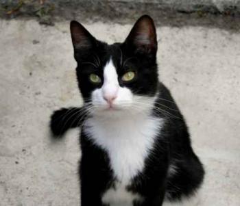 Dayo Bild von Dayo