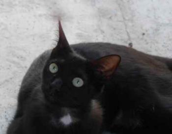 Flo Bild von Flo