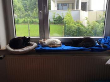 Diane Bild von Diane