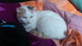 Diane Bild von Diane