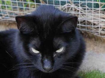 Coddy Bild von Coddy