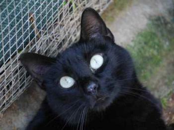 Coddy Bild von Coddy