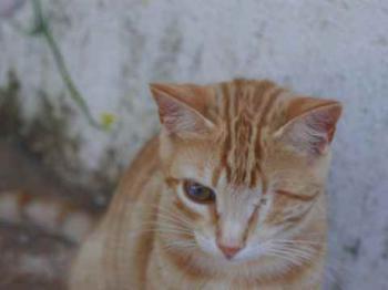 Daiki Bild von Daiki