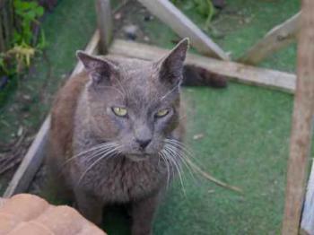 Ivan Bild von Ivan