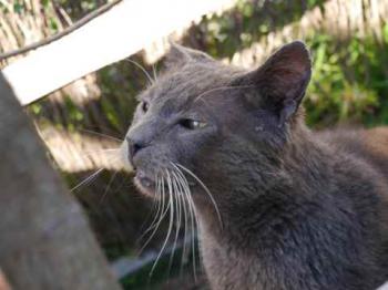 Ivan Bild von Ivan