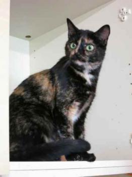 Geraldina Bild von Geraldina