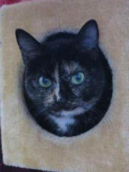 Geraldina Bild von Geraldina