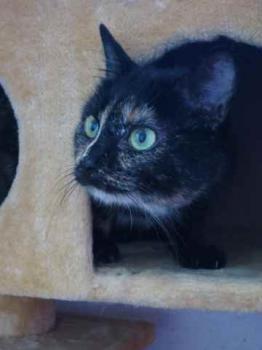 Geraldina Bild von Geraldina