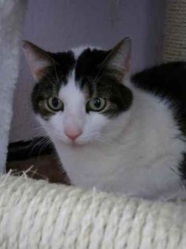 Taramis Bild von Taramis