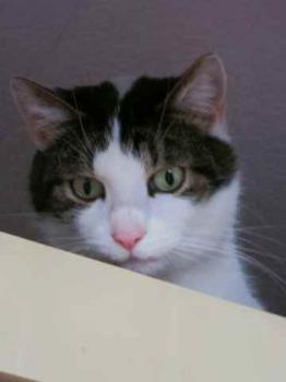 Taramis Bild von Taramis