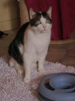 Taramis Bild von Taramis