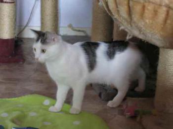Josi Bild von Josi