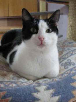 Bild von Amieto
