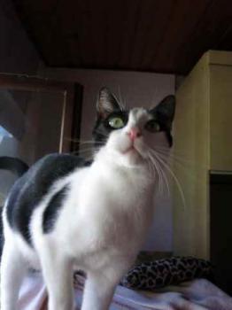 Bild von Amieto