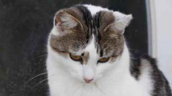 Penny Bild von Penny
