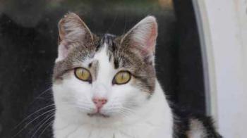 Penny Bild von Penny