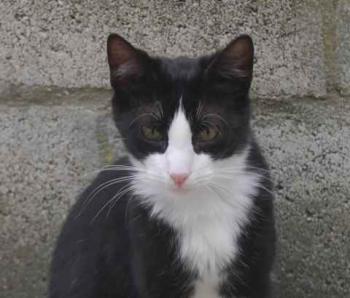Dayo Bild von Dayo