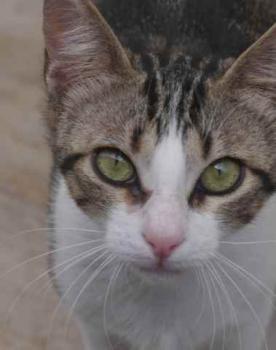 Bild von Cherie
