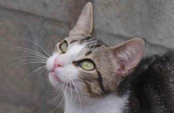 Bild von Cherie
