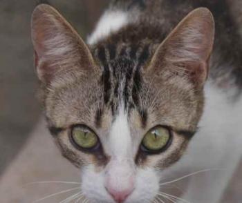 Bild von Cherie