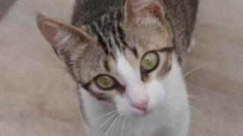 Bild von Cherie