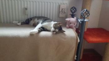 Bild von Mijou