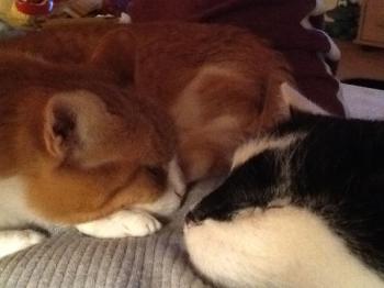 Judith Bild von Judith