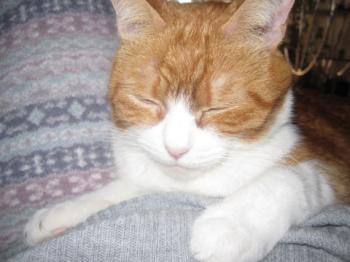 Judith Bild von Judith