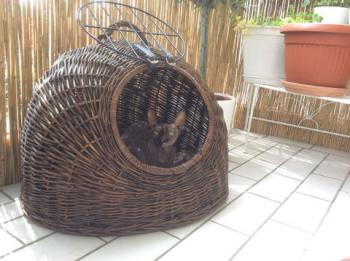 Bild von Marie