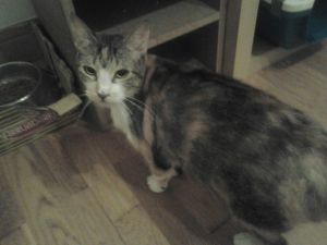 Arizona Baby Bild von Arizona Baby