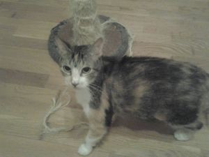 Arizona Baby Bild von Arizona Baby