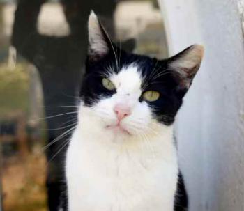 Fenja Bild von Fenja