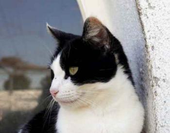 Fenja Bild von Fenja