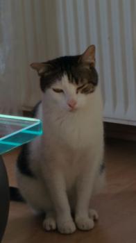 Cuqui Bild von Cuqui