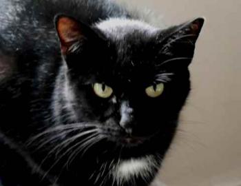 Sally Bild von Sally