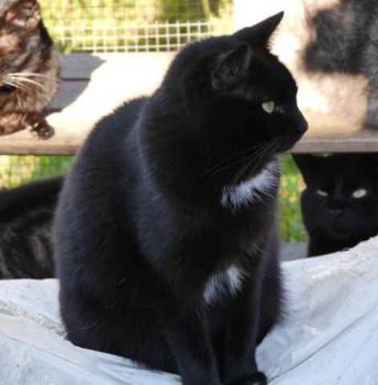 Sally Bild von Sally