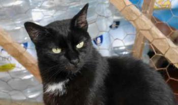 Sally Bild von Sally