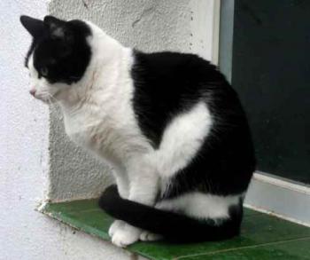 Paloma Bild von Paloma