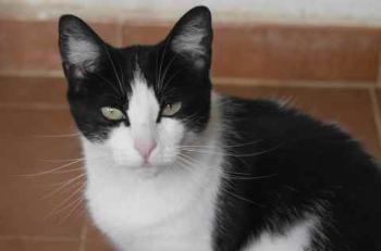 Paloma Bild von Paloma