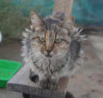 Bild von Pili