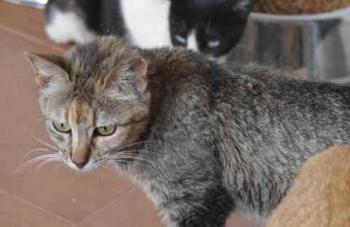 Bild von Pili
