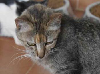 Bild von Pili